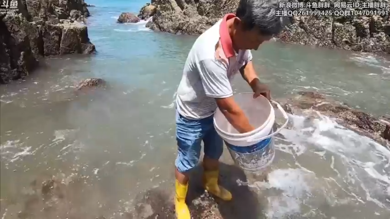 【2021-07-23 03点场】胖胖灬：胖胖OB：TES左手冲韩服第一