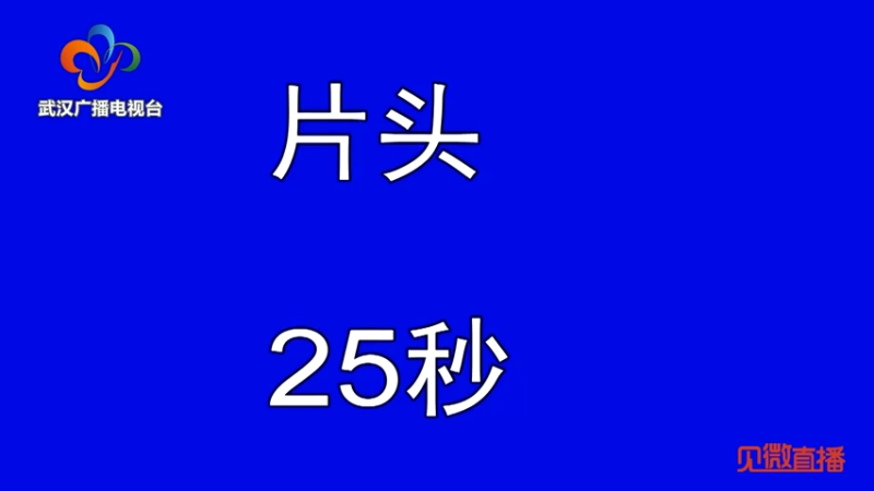 【2021-07-23 20点场】武汉广播电视台：聚焦服务企业群众如何“实打实”“硬碰硬”