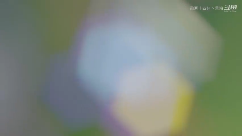 我这最后一波1飞5直接大翻盘！gala时刻经典重现！