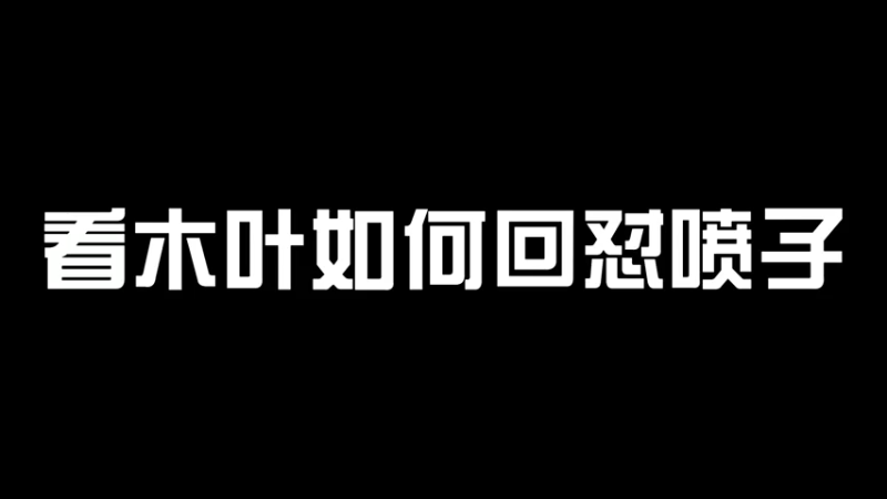 【DNF木叶剑心】看木叶如何回怼喷子