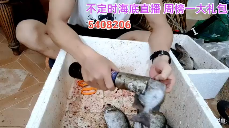 【2021-07-23 22点场】海道丶：发鱼啦！发鱼啦！