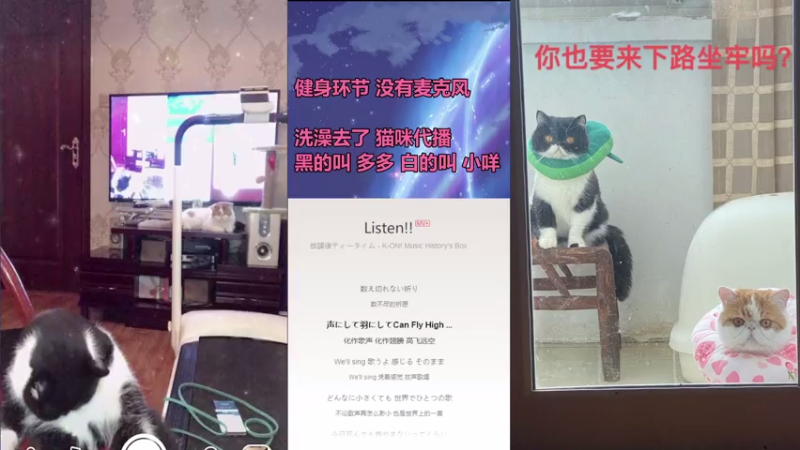 【2021-07-23 16点场】李冉冉i：艾欧尼亚SOLO赛，打冉冉赢红包