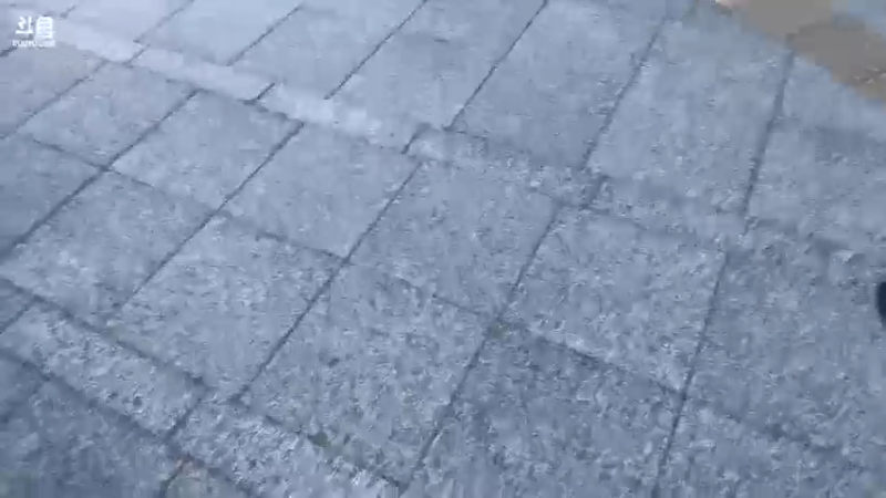 【2021-07-24 17点场】亡命快递龙龙龙：中医来了!!