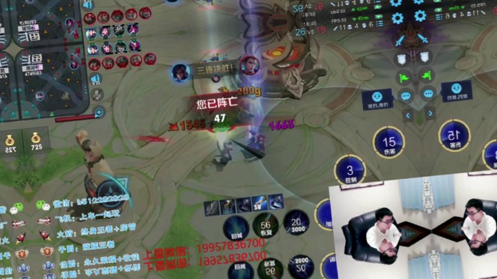 蓝羽带粉日常