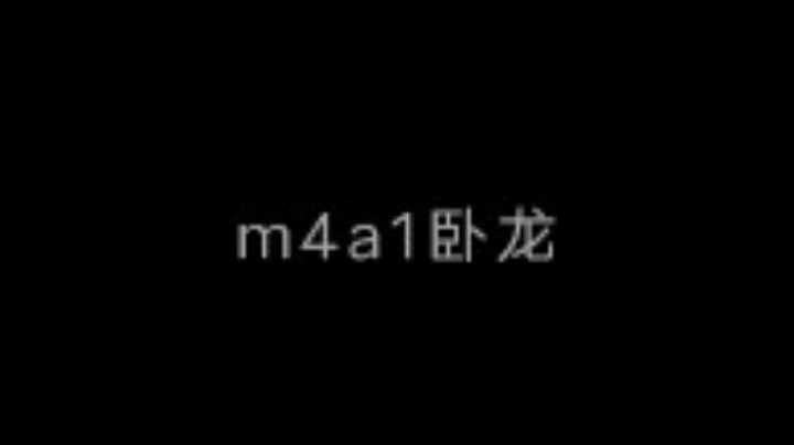 m4a1卧龙