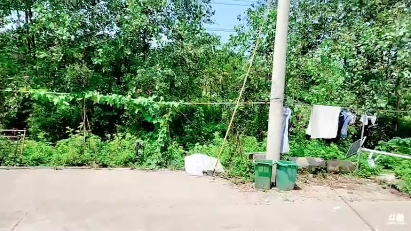 【2021-07-25 11点场】洪湖小肖：11点半左右开播