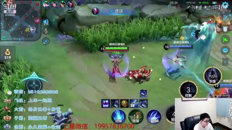 蓝羽带粉日常