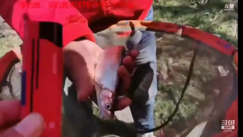 【2021-07-25 13点场】中华户外钓鱼：通山钓翘嘴