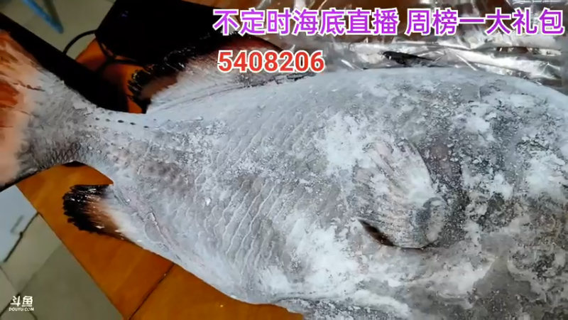 【2021-07-24 21点场】海道丶：超级粉丝团冲一冲！