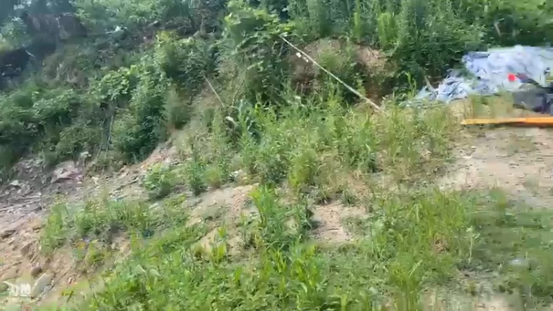 【2021-07-25 10点场】魅力生活i：高人指导在战水库