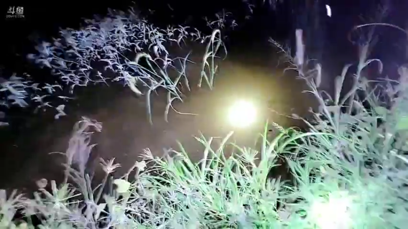 【2021-07-25 21点场】洪湖小肖：天黑收甲鱼钩