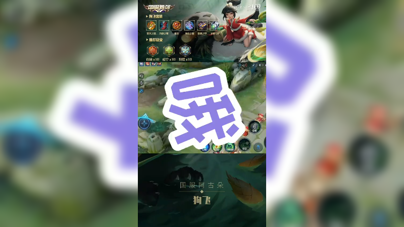 狗飞集锦