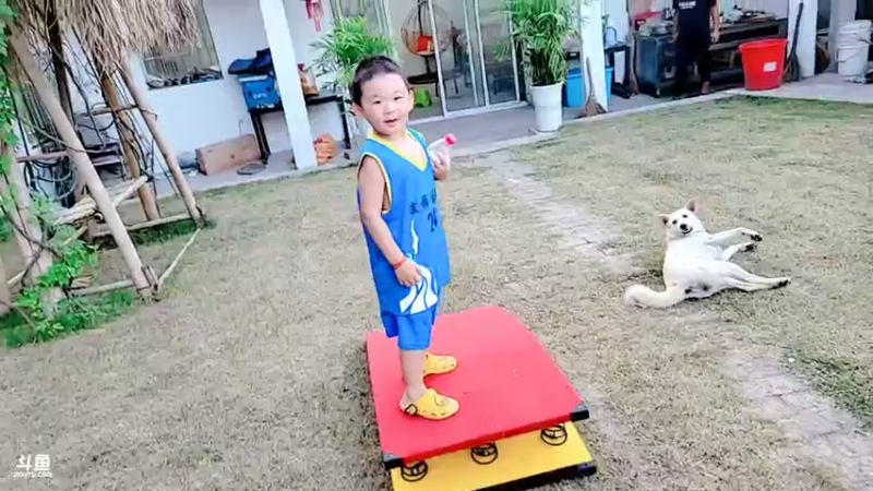 【2021-07-25 19点场】洪湖小肖：天黑收甲鱼钩