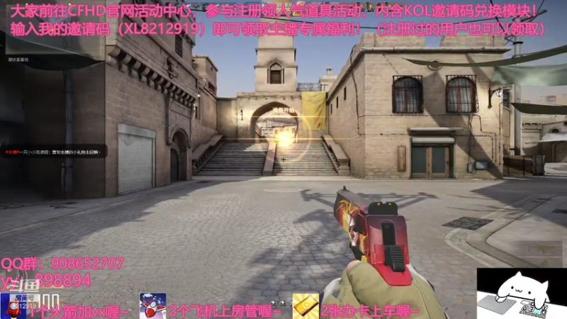 【2021-07-25 22点场】一只小小流浪猫：小菜鸟出没，请注意！！！