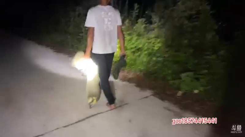 【2021-07-26 20点场】魅力生活i：晚上收甲鱼钓抓牛蛙