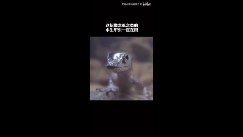 【2021-07-26 17点场】叁肆叁肆：把自己帅醒的一天~！