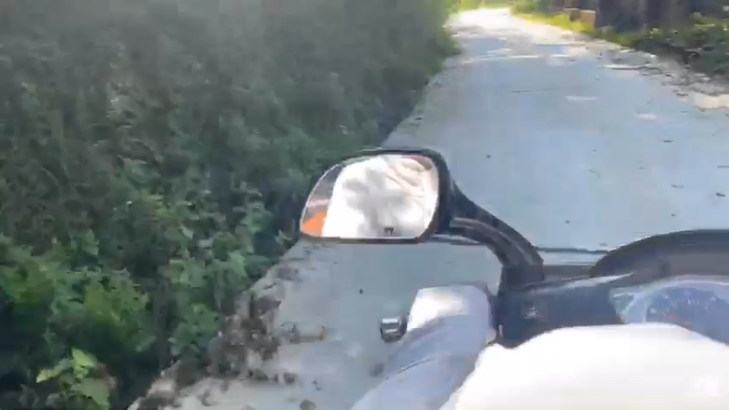 【2021-07-26 09点场】魅力生活i：寻找车钥匙