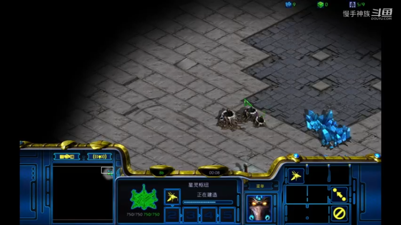 pvp防前置3bg大招2021-07-26