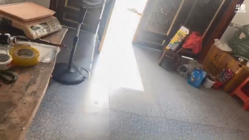 【2021-07-26 15点场】魅力生活i：今天放甲鱼钓