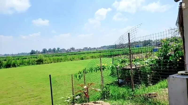 【2021-07-26 10点场】洪湖小肖：11点左右开播