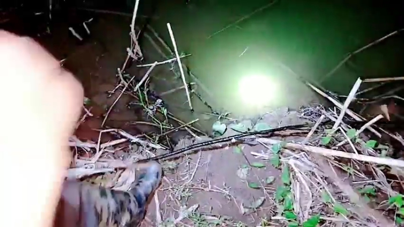 【2021-07-26 20点场】洪湖小肖：11点左右开播