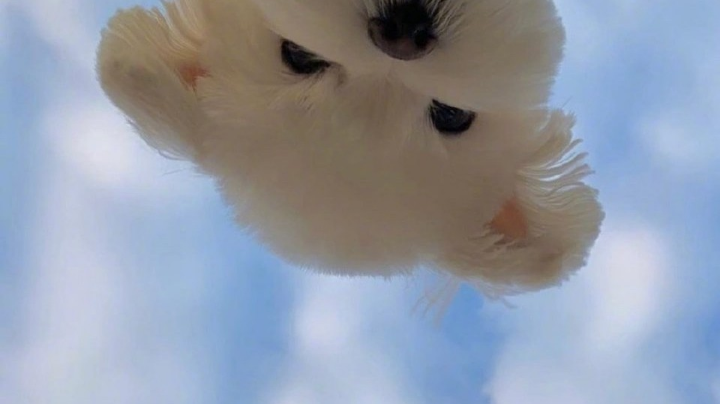 随便玩玩