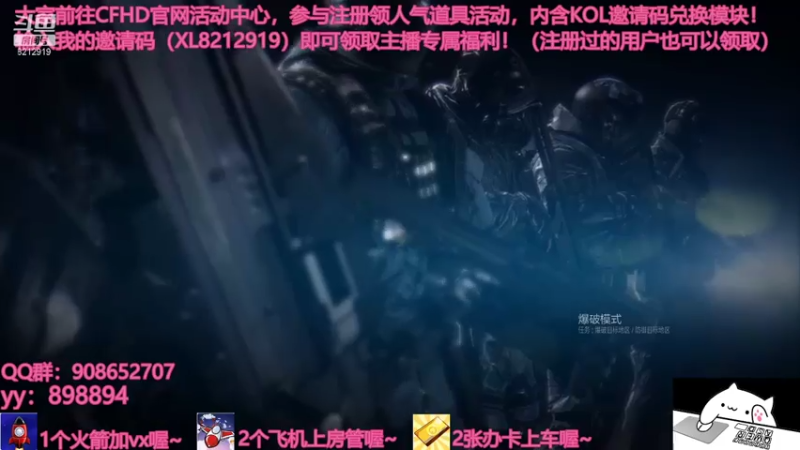【2021-07-26 15点场】一只小小流浪猫：小菜鸟出没，请注意！！！