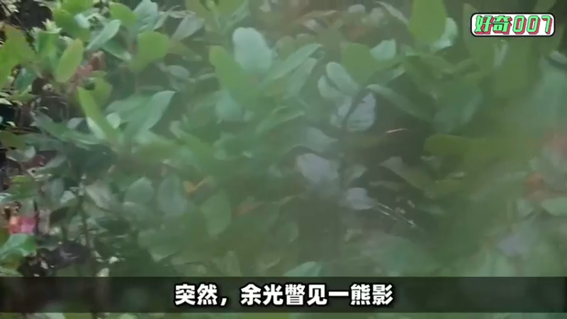 【2021-07-26 15点场】叁肆叁肆：把自己帅醒的一天~！