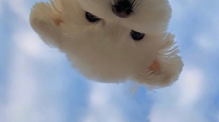 随便玩玩