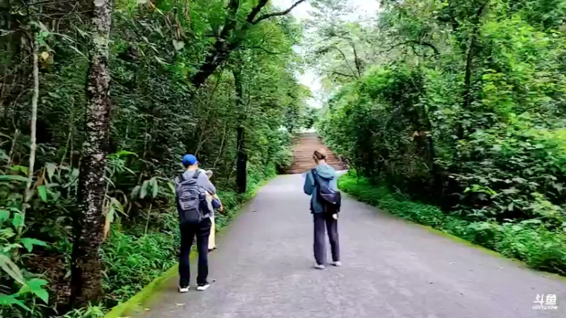 【2021-07-26 12点场】逐梦兄弟：西双版纳直播day2