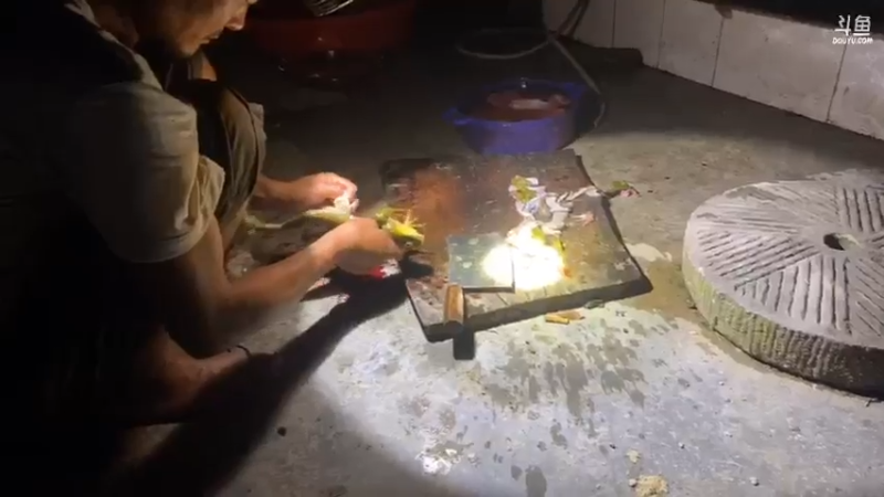 【2021-07-26 22点场】魅力生活i：晚上收甲鱼钓抓牛蛙