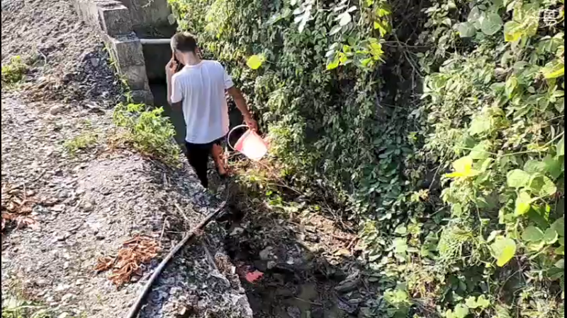 【2021-07-27 17点场】魅力生活i：波哥塘钓个大头吃吃