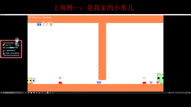 玩儿猫