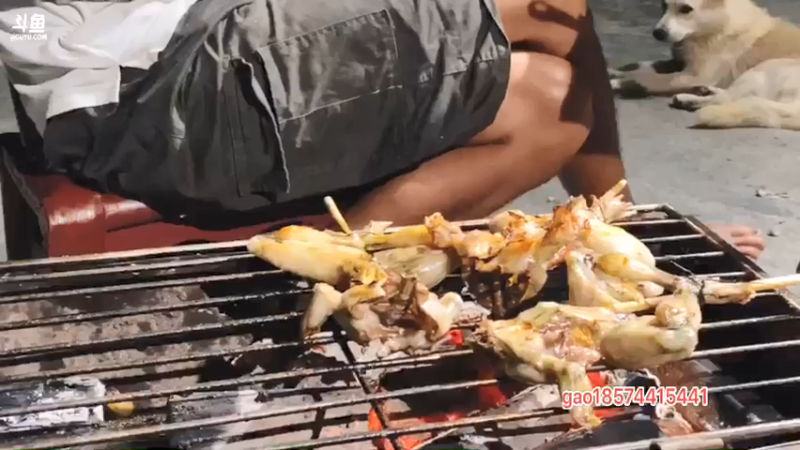 【2021-07-27 00点场】魅力生活i：晚上收甲鱼钓抓牛蛙