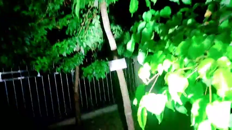 【2021-07-27 21点场】洪湖小肖：雨神即将降临  洪湖风云雷电