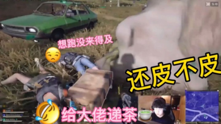 这草地床睡的可否舒服