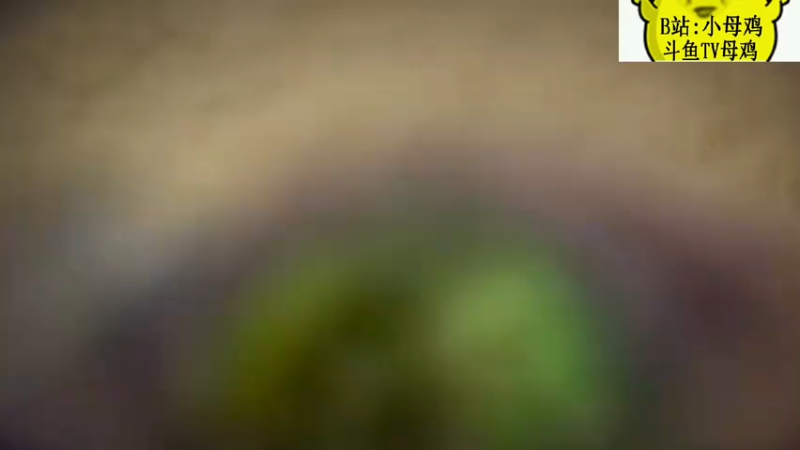炉石传说，酒馆战棋