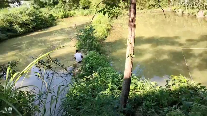 【2021-07-27 16点场】魅力生活i：波哥塘钓个大头吃吃