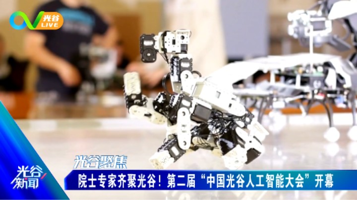 第五十五周光谷新闻周二版 0727