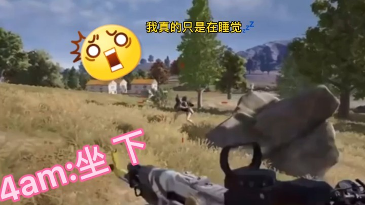 真的只是在睡觉？看着不像