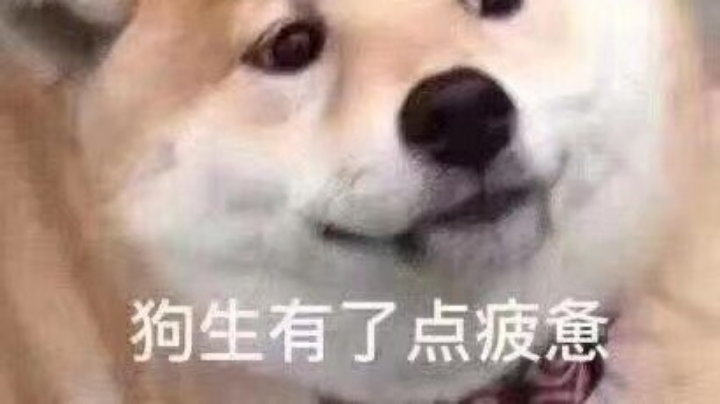 玩儿