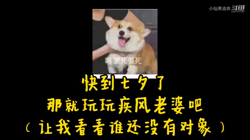 直播日常