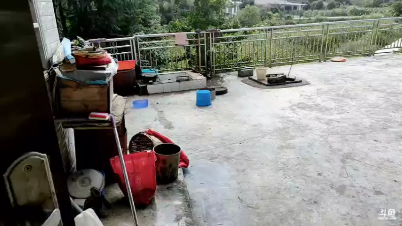 【2021-07-27 15点场】魅力生活i：波哥塘钓个大头吃吃