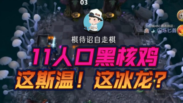 《这斯温》11人口黑核鸡