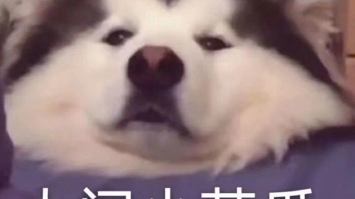 哦莫