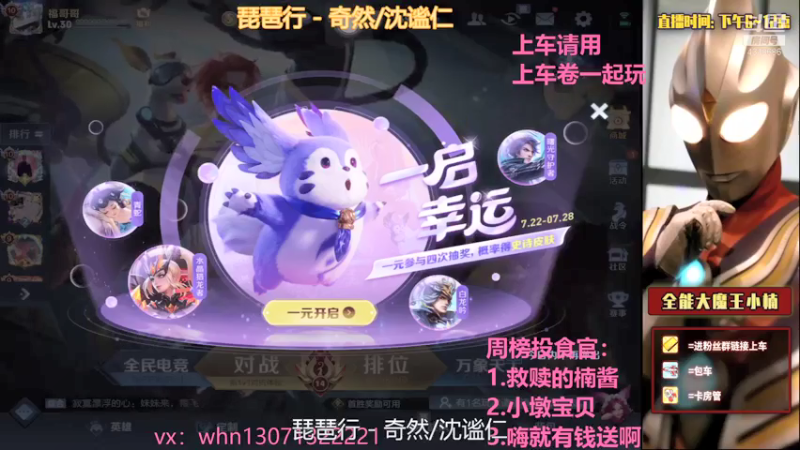 【2021-07-24 19点场】大魔王小楠：国服打野巅峰赛教学