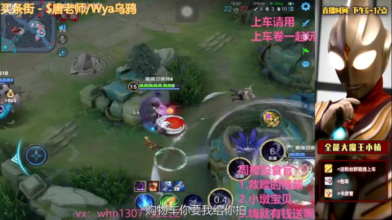 【2021-07-25 19点场】大魔王小楠：国服打野巅峰赛教学
