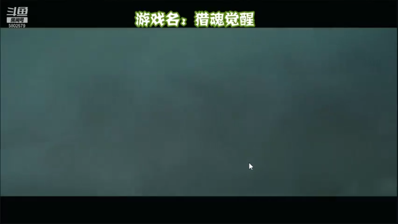 【2021-07-28 19点场】小孩吖丶：进行一个猎人的玩