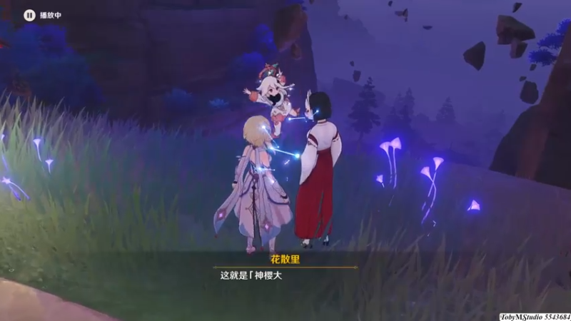 神樱大祓(6) 影向祓行
