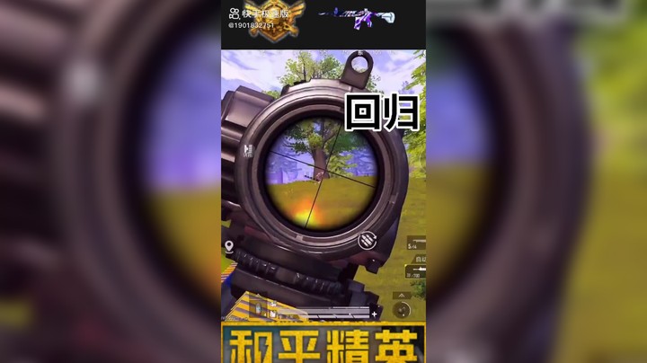 和平精英直播